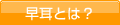 早耳とは？